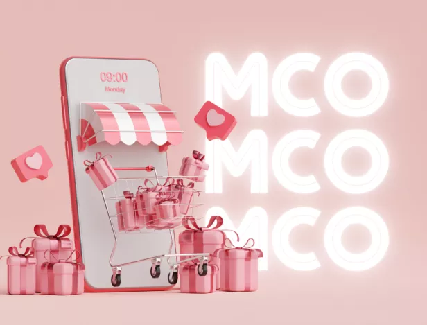 bts-mco-commerce-ipac-chambéry-études