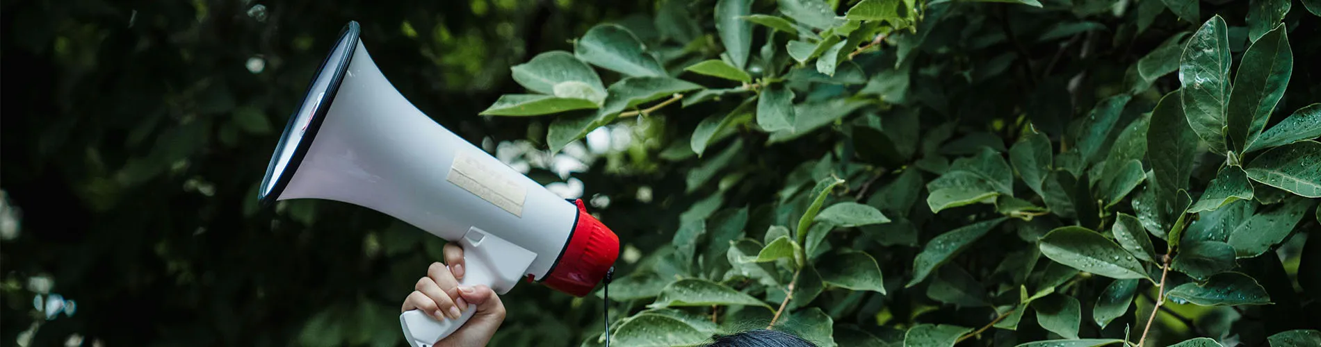 Formations-Bachelor-Communication-Envrionnement-Banner