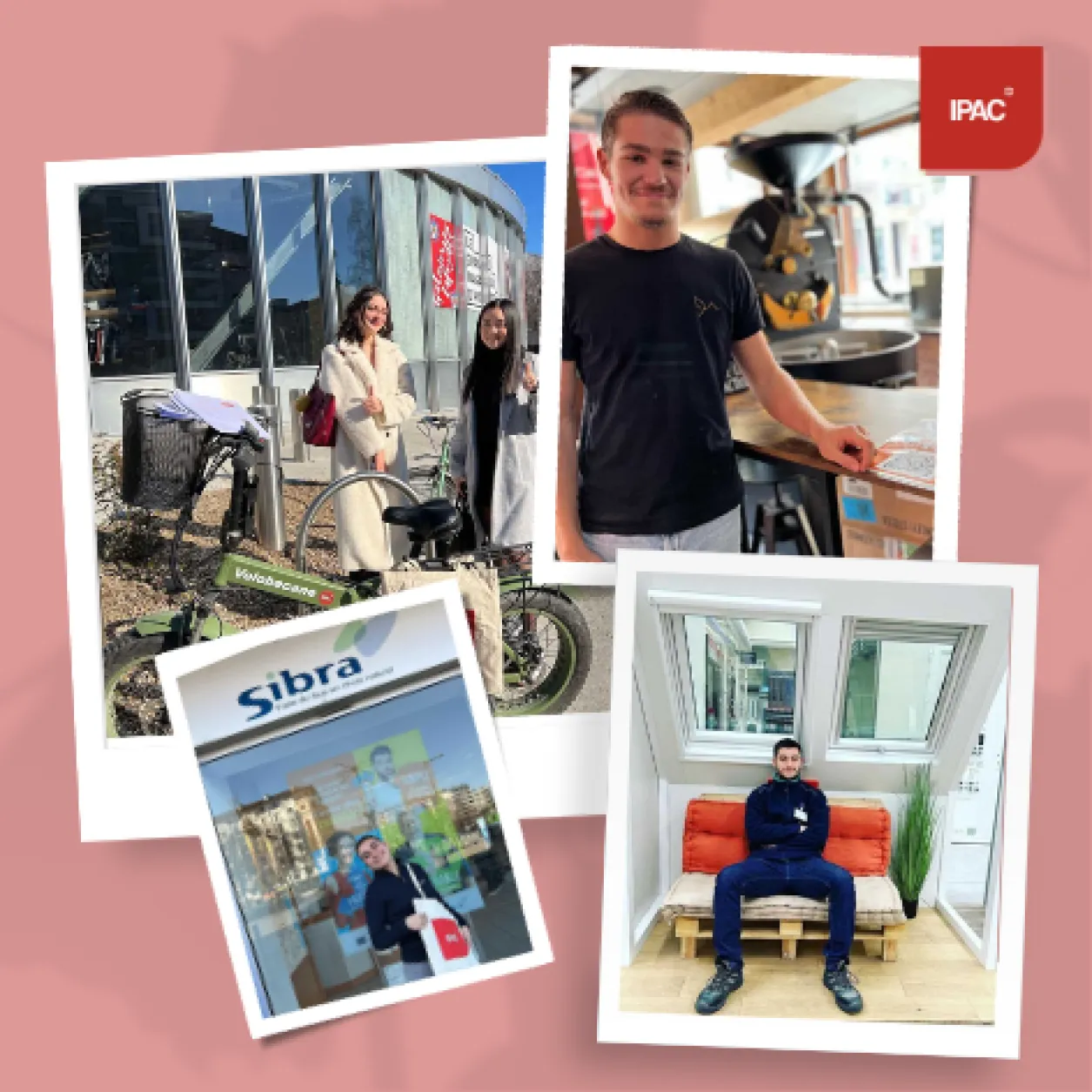 BTS-MCO-alternance-école-commerce BTS-MCO-alternance-école-commerce